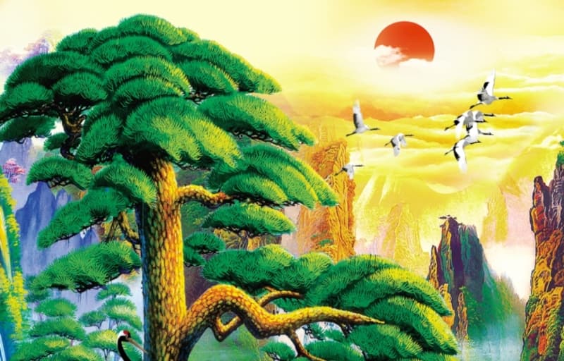 Trang cho người mệnh mộc